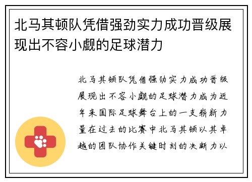 北马其顿队凭借强劲实力成功晋级展现出不容小觑的足球潜力
